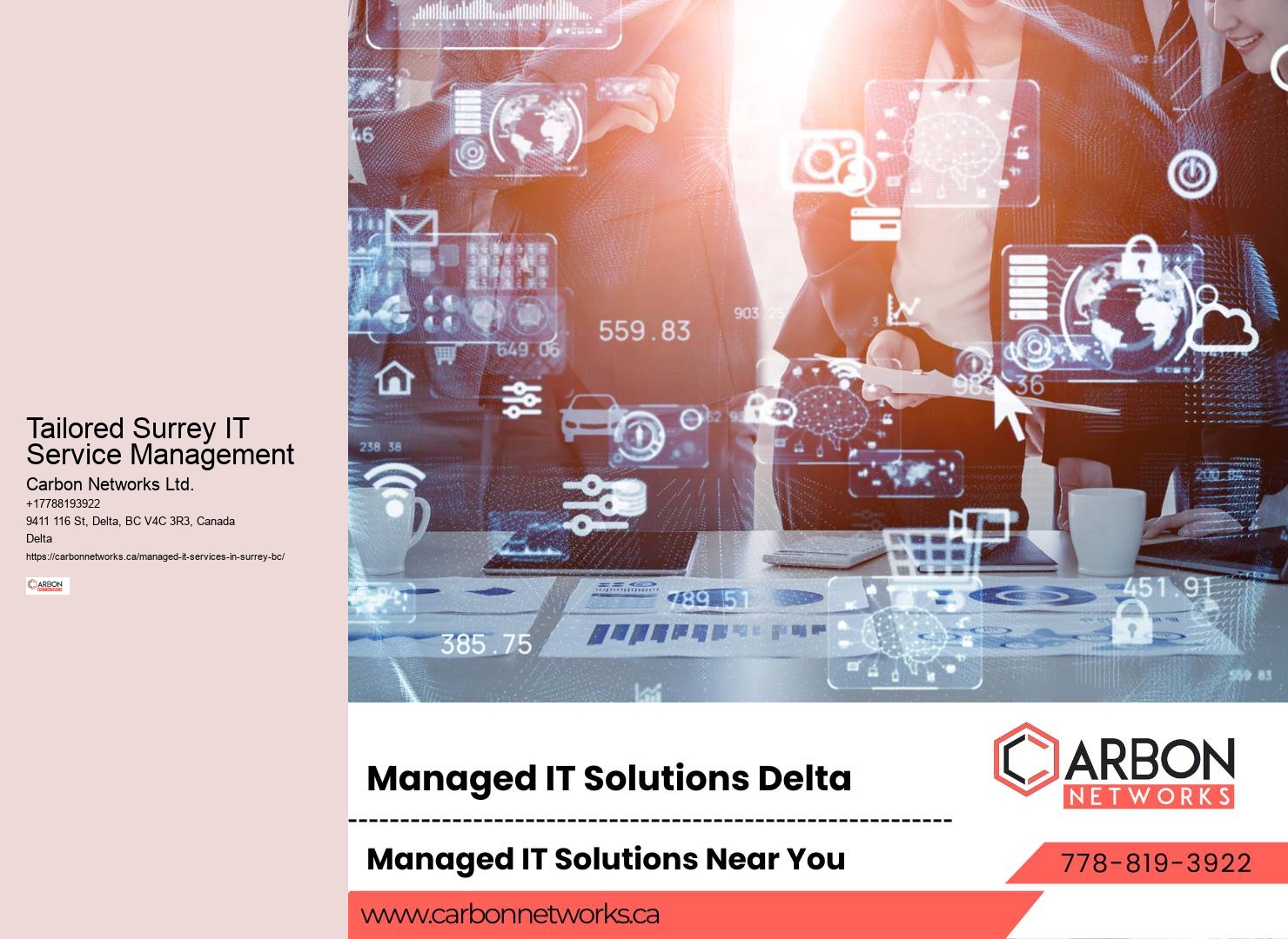 Surrey IT strategy optimization